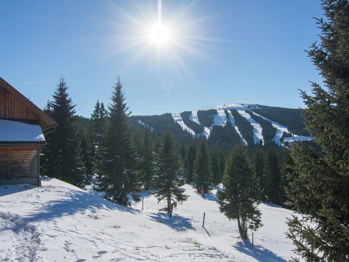 Beautiful Holiday Home In Weinebene With Sauna Obergosel Екстер'єр фото